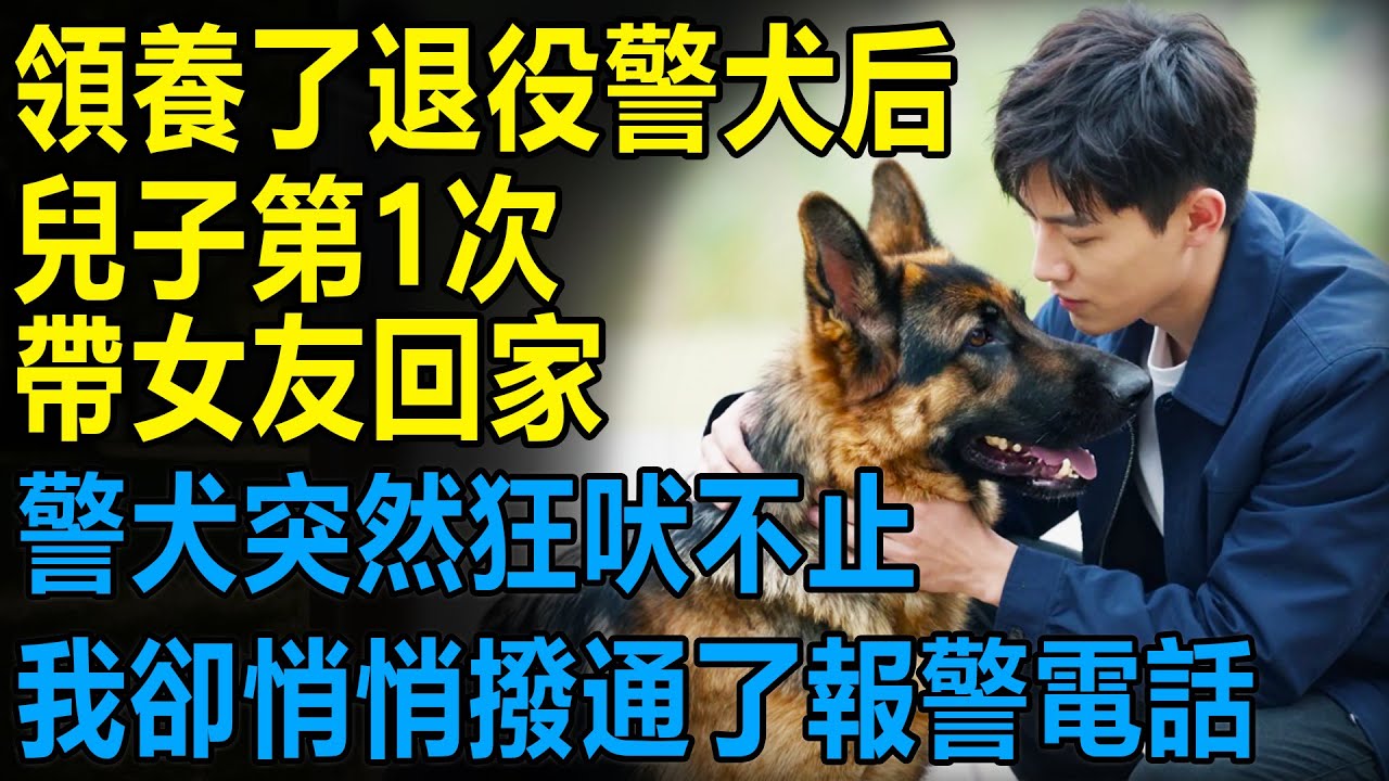 領養了退役警犬后，兒子第1次帶女友回家，警犬突然狂吠不止，我卻悄悄撥通了報警電話...