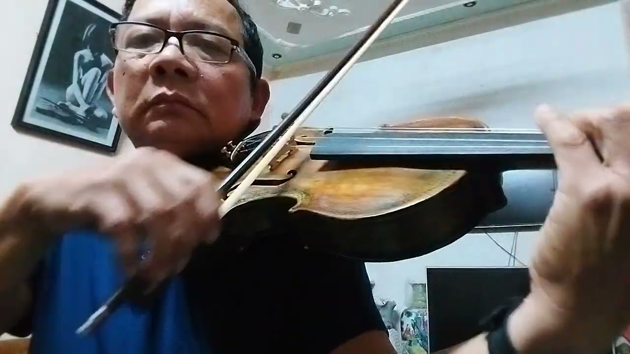 Cây đàn violon thứ 3.