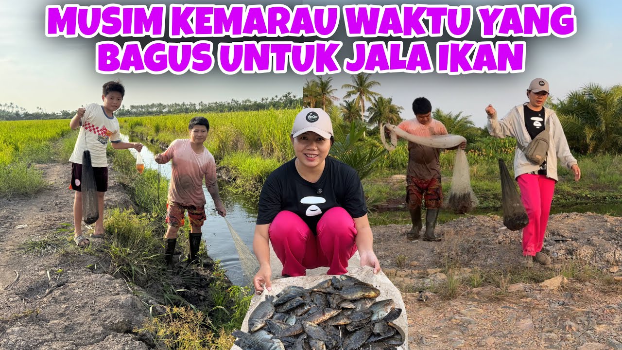 JALA IKAN DI MUSIM KEMARAU, APAKAH LEBIH BANYAK IKAN, LIHAT HASIL YANG KAMI DAPAT