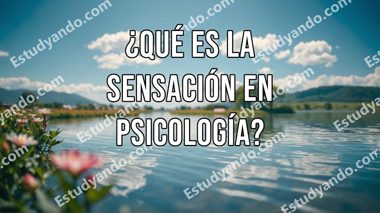 ¿Qué es la Sensación en Psicología?