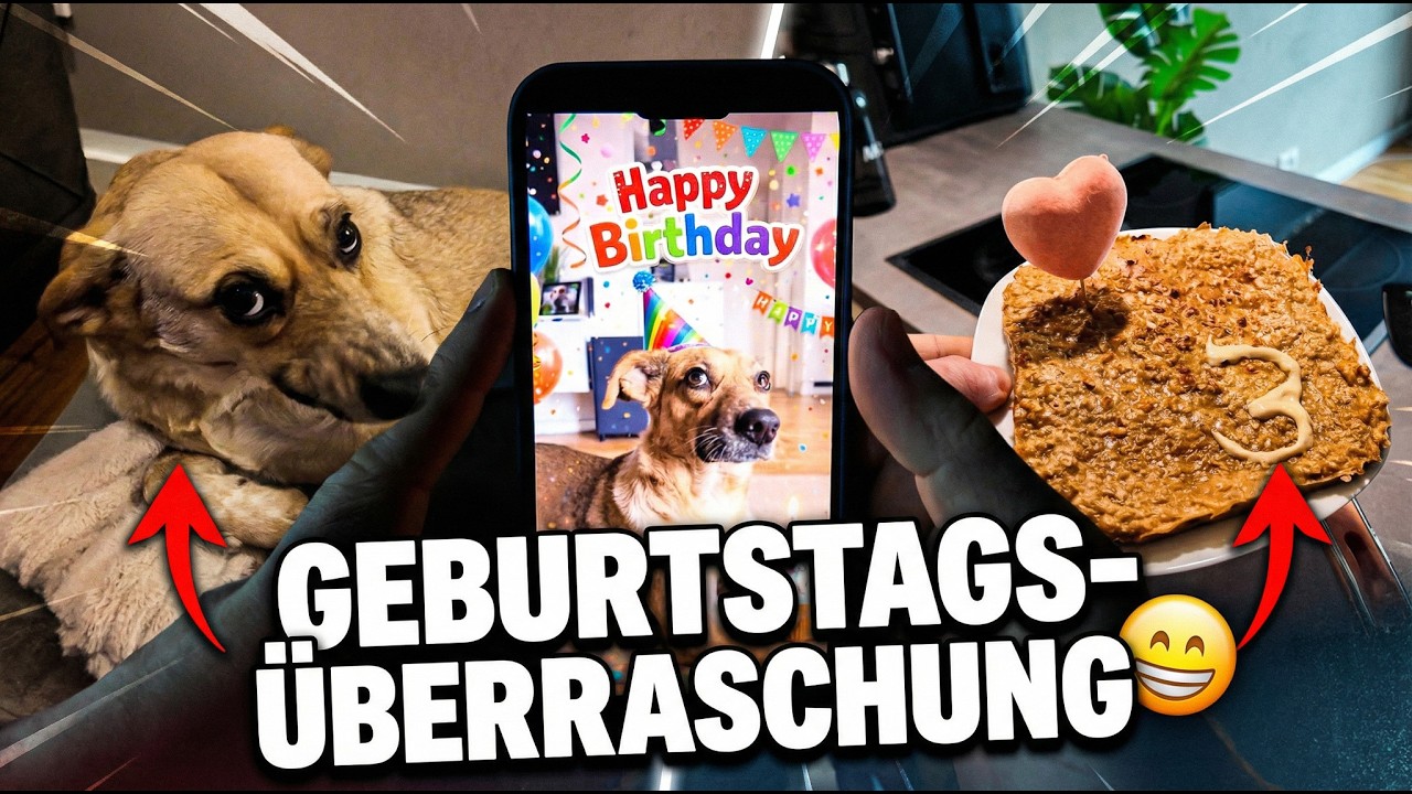 Amy hat Geburtstag!