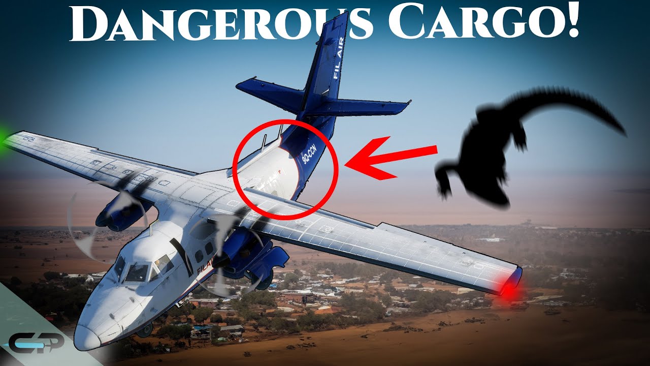Why This Airplane Crash Was So Unusual | FILAIR Crash 2010
