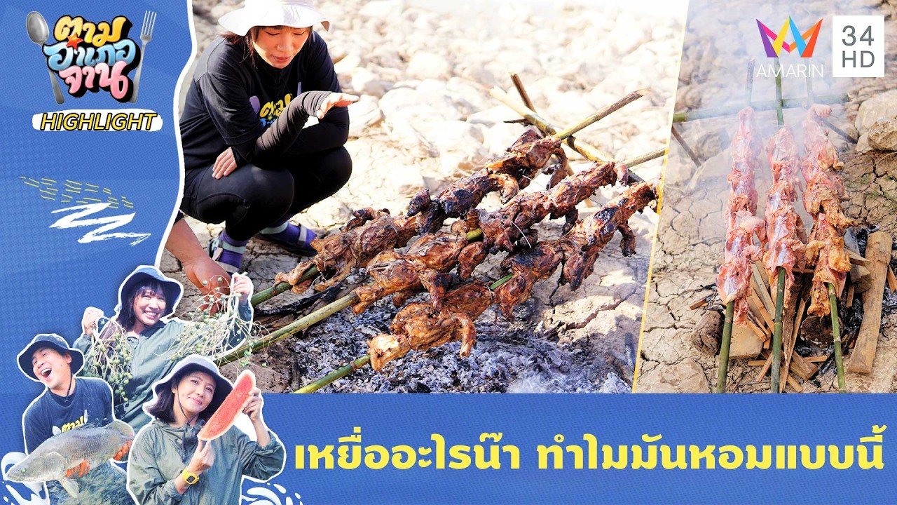 วิธีทำเหยื่อตุ้มดักปลาแขยง | ตามอำเภอจาน HIGHLIGHT