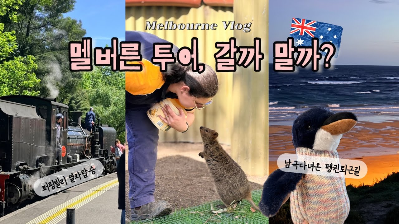 🇦🇺멜버른 투어｜숲속기차 퍼핑빌리 & 감동의 펭귄퍼레이드🐧 투어, 갈까말까? 내돈내산 솔직후기✨
