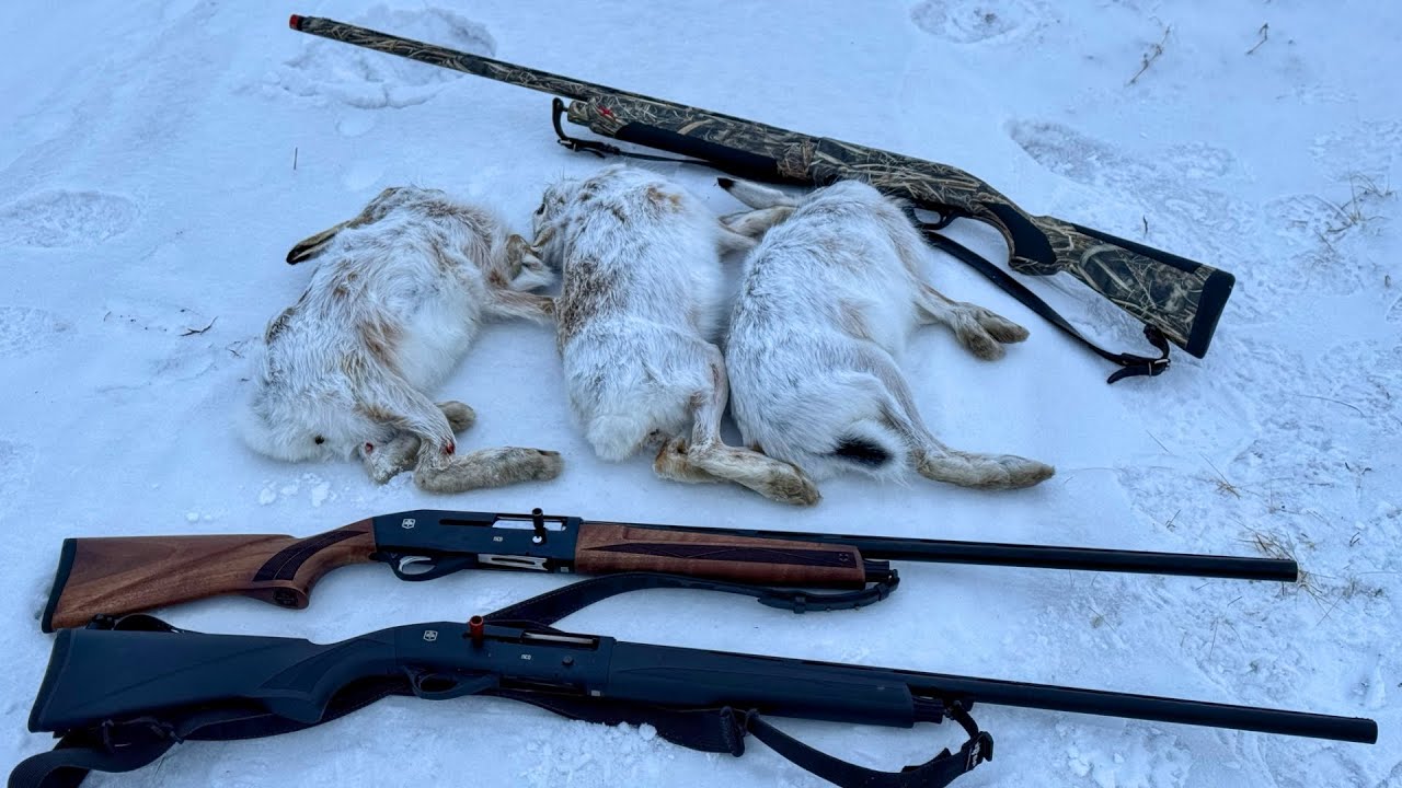 НЕ очень удачная охота! Что пошло не так? сезон 2026 #hunting #охота #snow #зима