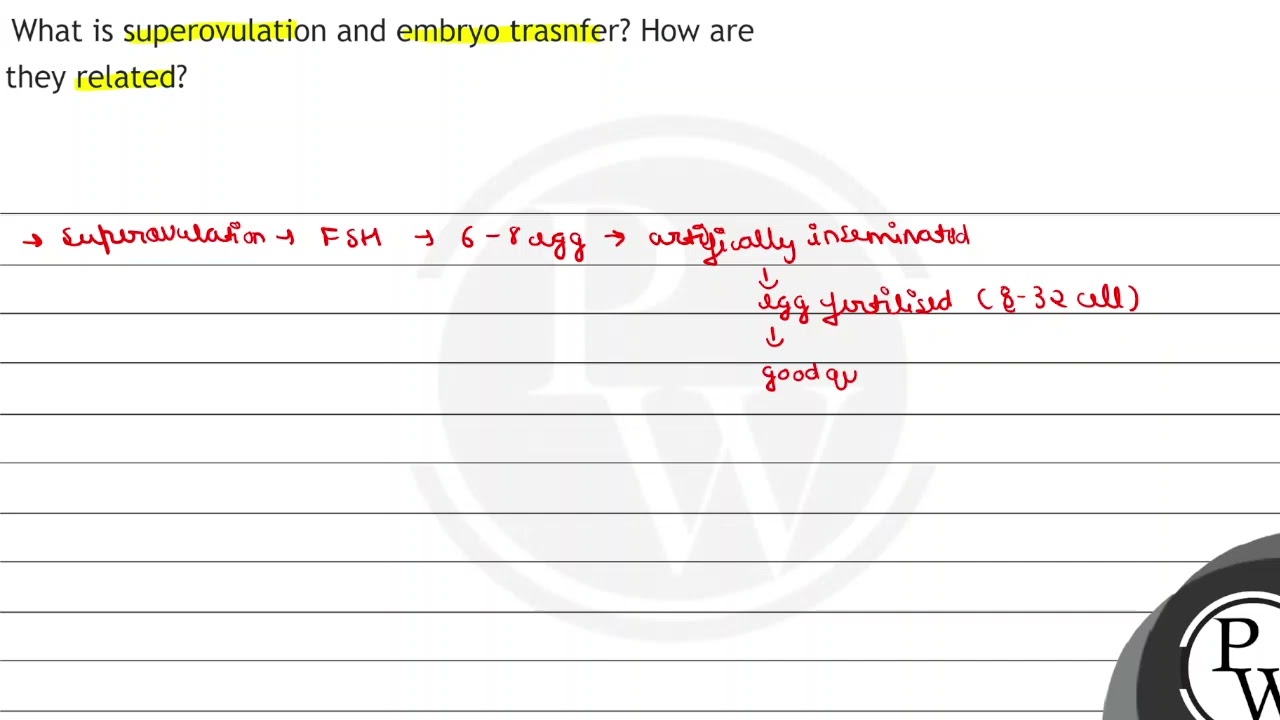 What is superovulation and embryo trasnfer? How are they related?