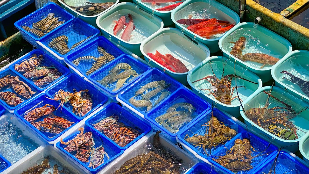 Visiting Hong Kong’s Largest Floating Market 🇭🇰 | Sai Kung Seafood Market【4K HDR】