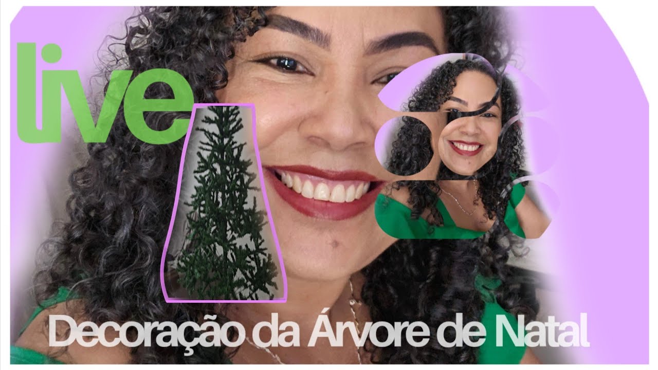 Montagem da Árvore de Natal 🌲