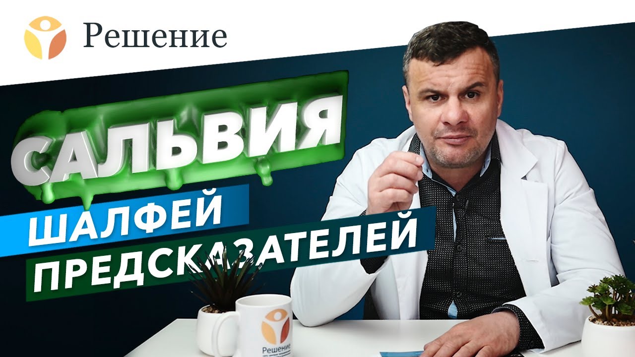 Сальвия дивинорум: как действует шалфей предсказателей? Эффекты и последствия сальвии (галлюциноген)