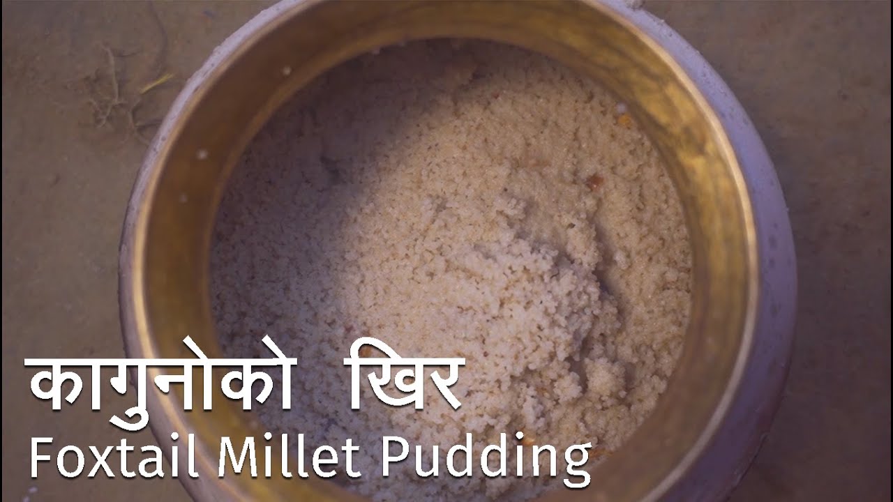 Foxtail millet pudding (कागुनोको खिर) [most popular and commonly consumed food recipes in Nepal ]