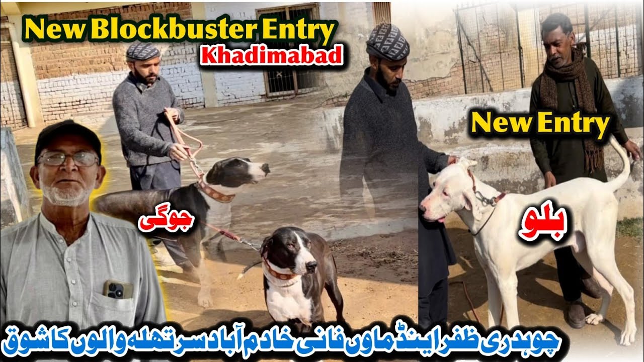 Biggest Dera Of Ch Zafar & Mava Family Khadimabad Sarthala 😃New Entry 🙂 Family vlog 