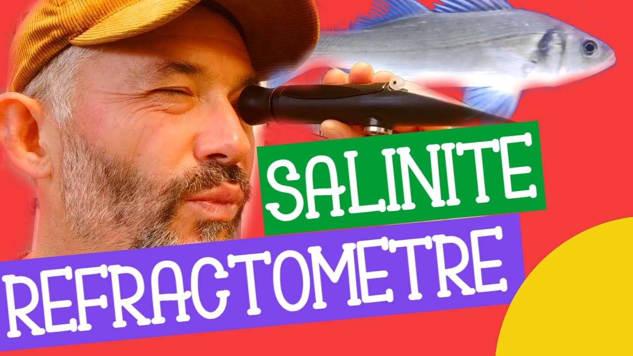 🧂️comment MESURER la SALINITÉ, un OUTIL SIMPLE et facile : le RÉFRACTOMÈTRE🧂️