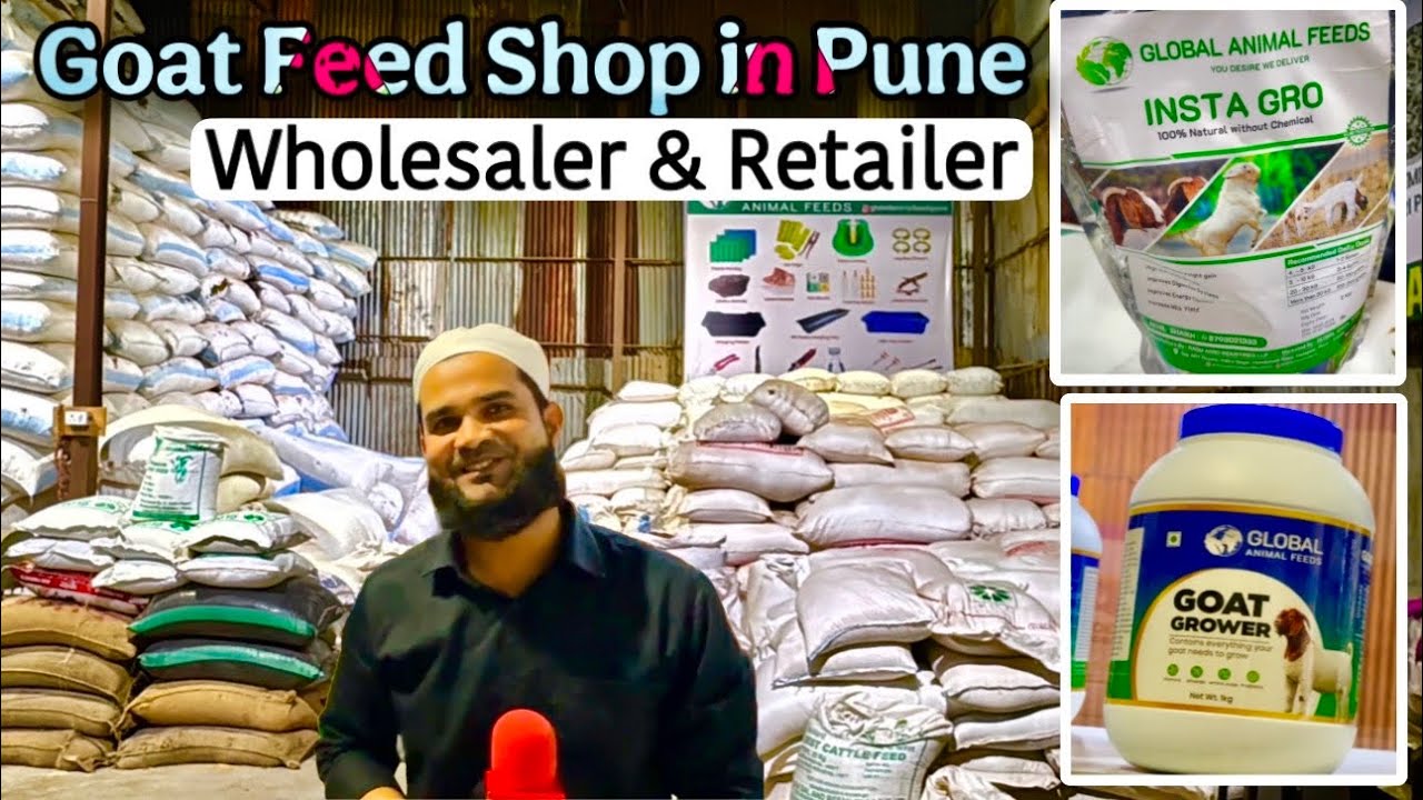 Global Animal Feeds Pune | Finest Quality Goat Feed For Weight Gain