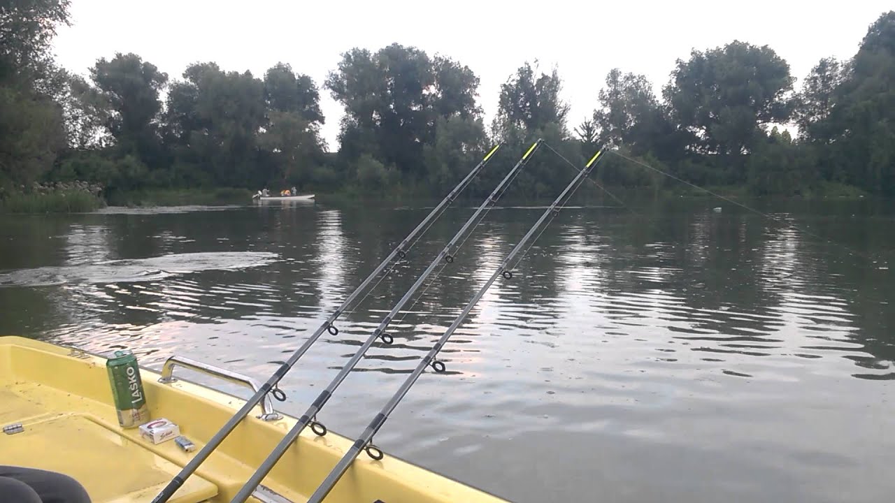 Tisa kod Novog Beceja 30.06.2015g