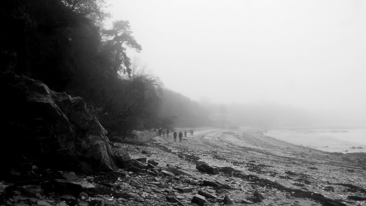 Vague de Folie  [24 Dec 2024]
