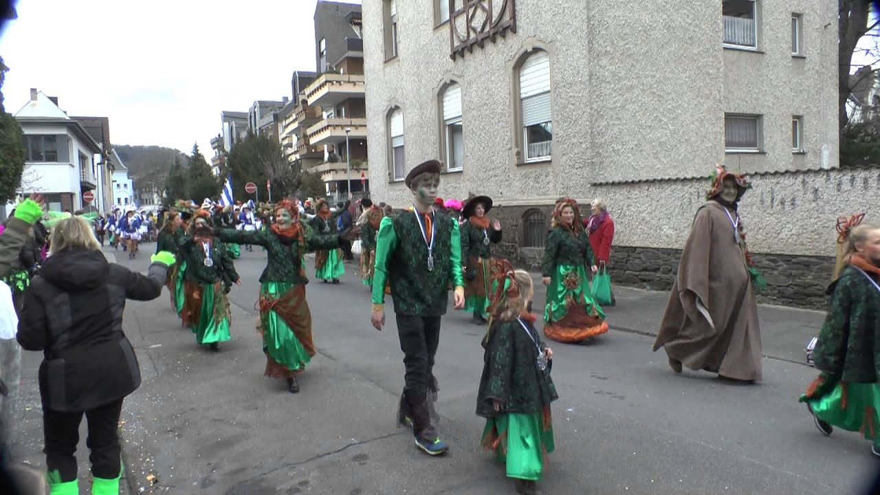 Rosenmontagsumzug 2014 in Andernach