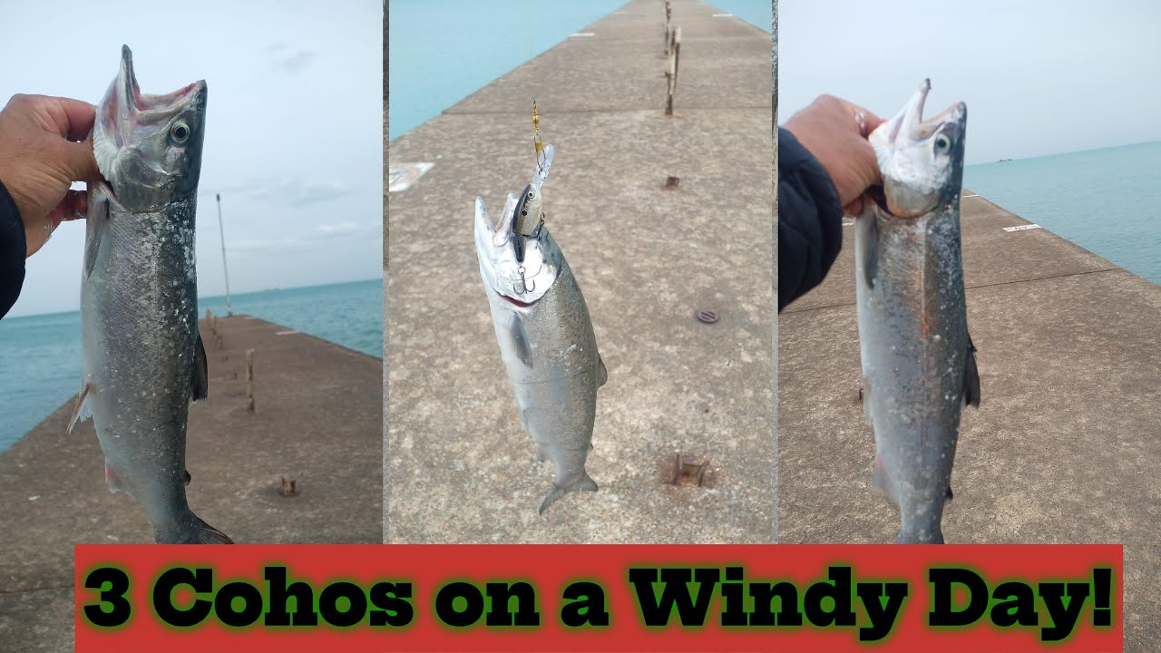 Windy Day Fishing in Chicago: Catching 3 Big Coho Salmon!