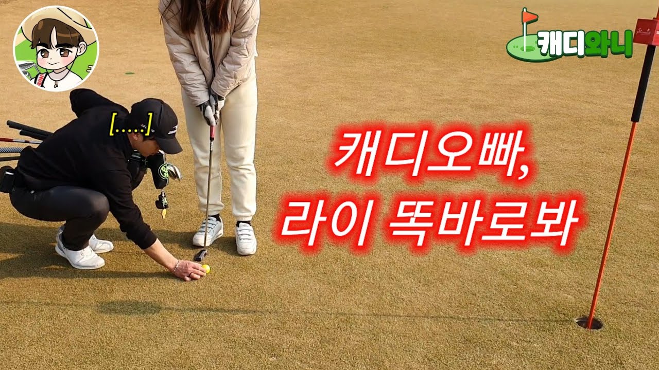 백돌이분들 나갔다가 앓아 누웠습니다...[캐디와니 교육] 10탄