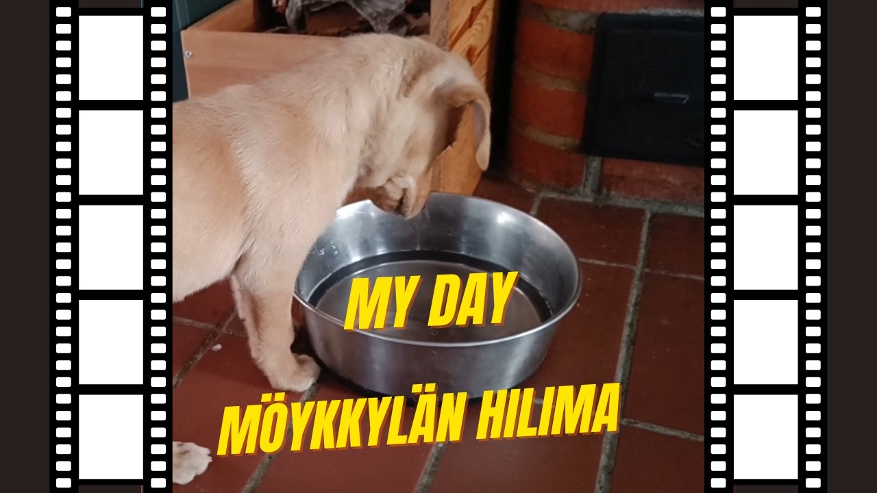HILIMAN MY DAY