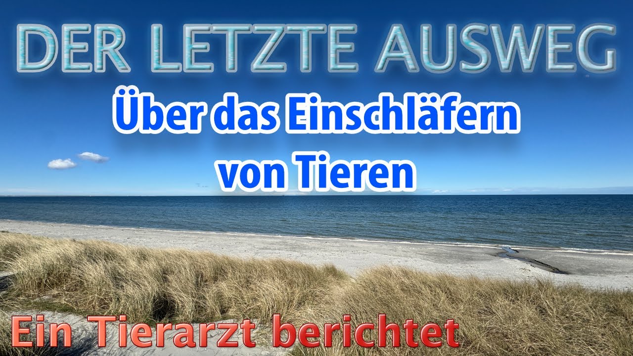 Der letzte (Aus)Weg