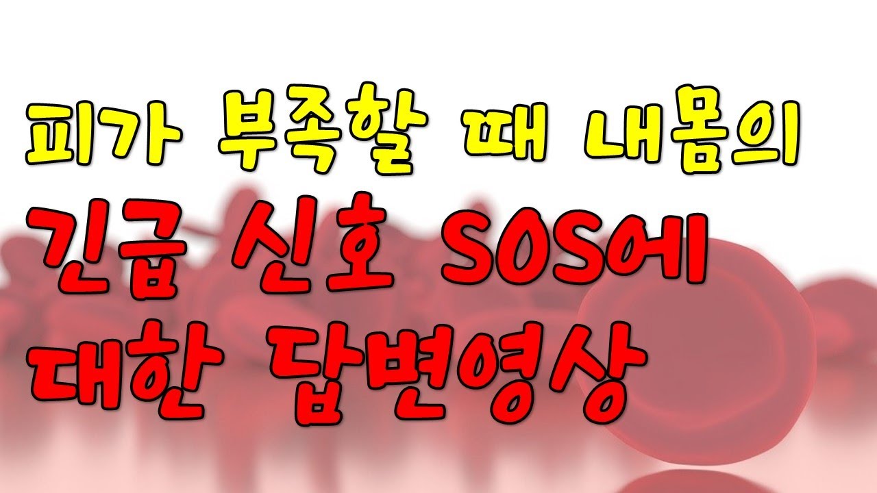 내몸의 부족한 피를 채우는 깜짝놀랄 영양소