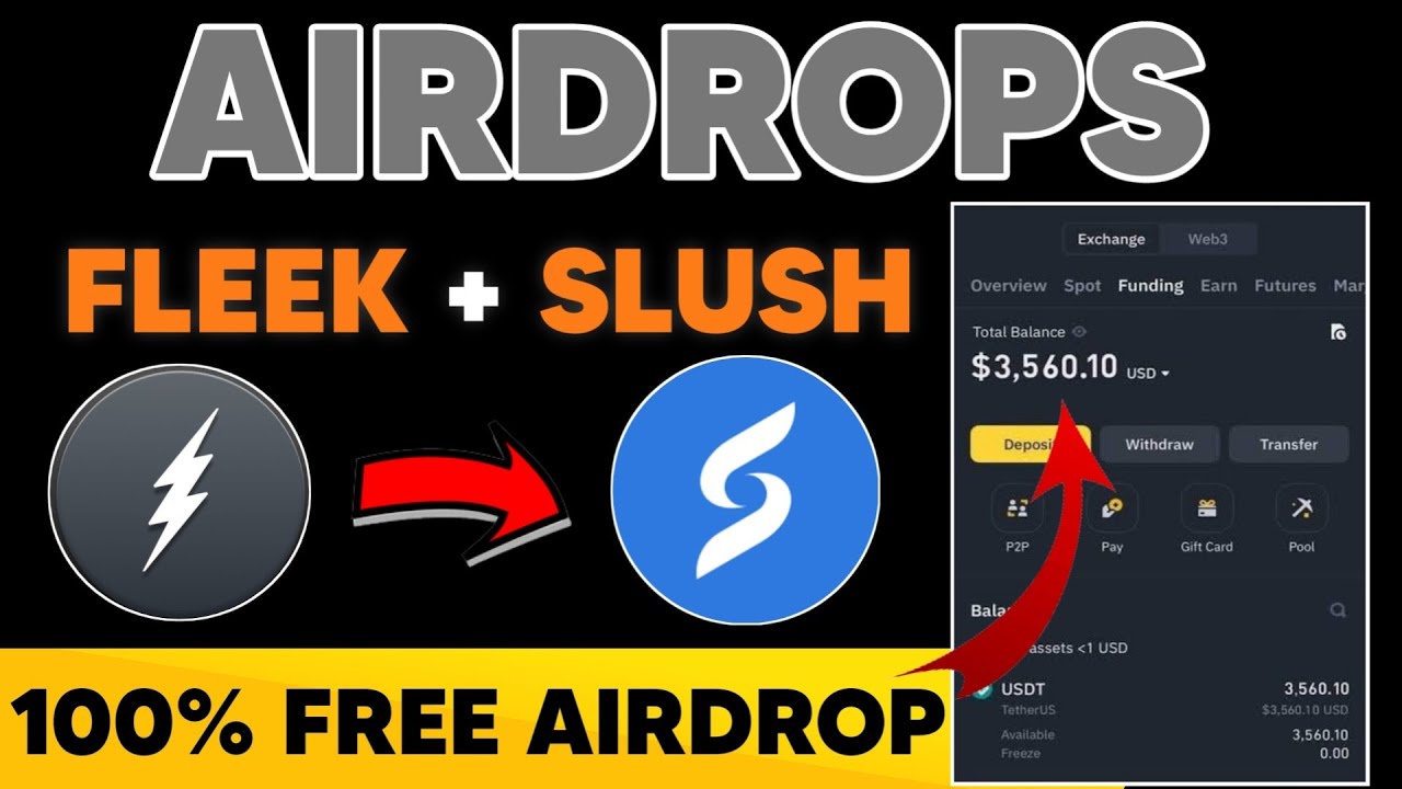 2 New Airdrop Slush Wallet + Fleek Airdrop Full Guide || Sui Network Airdrop