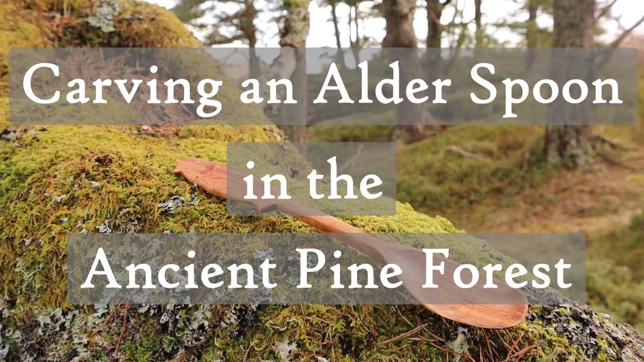 Carving an Alder Spoon in the Ancient Pine Forest (Silent Carving)