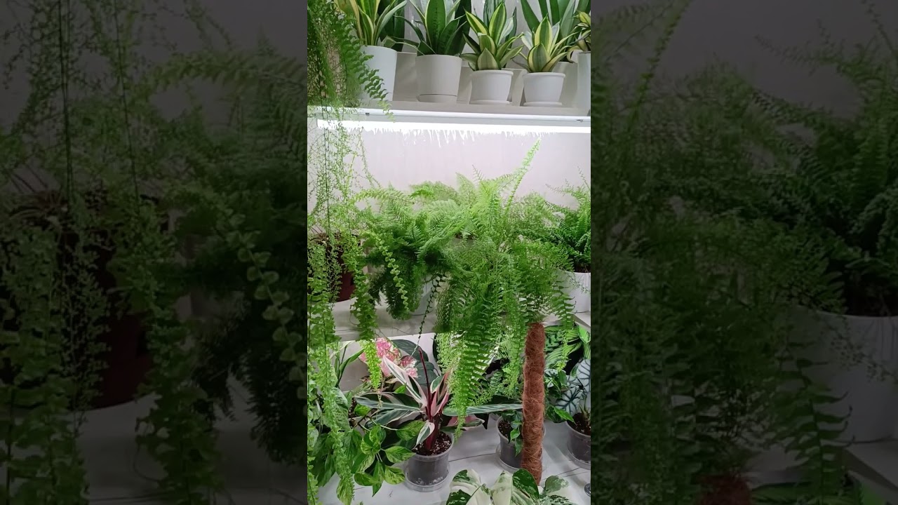 Пополнение! Новый стеллаж🥰🥰🥰