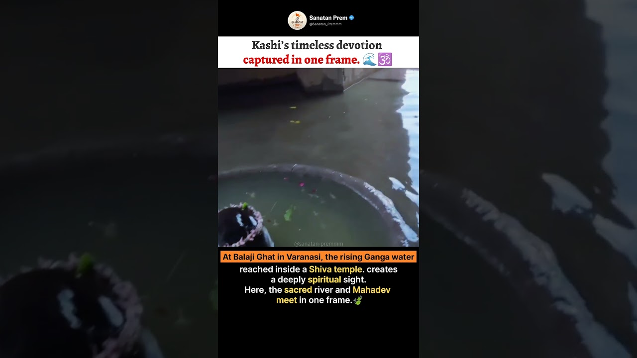 Where the Ganga flows, devotion continues to live. ❤️ || #shorts #trending # #kashi #viralvideo