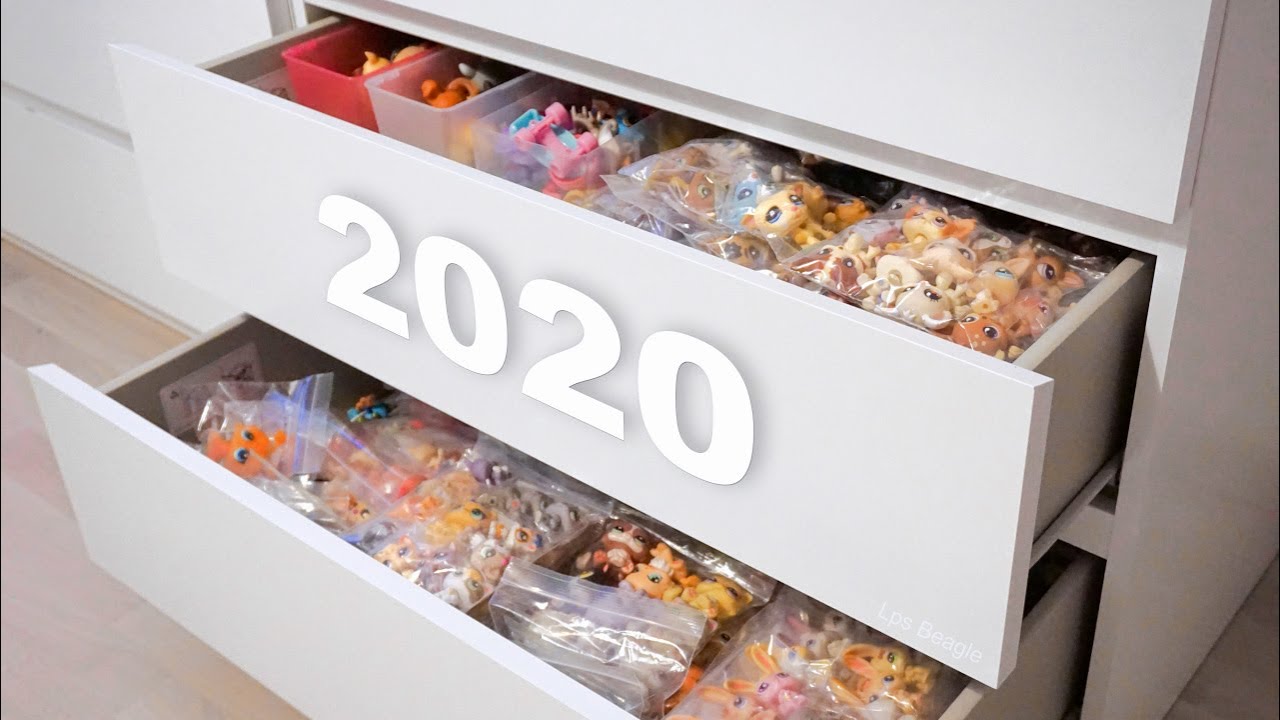 LPS Collection 2020 (Organized)