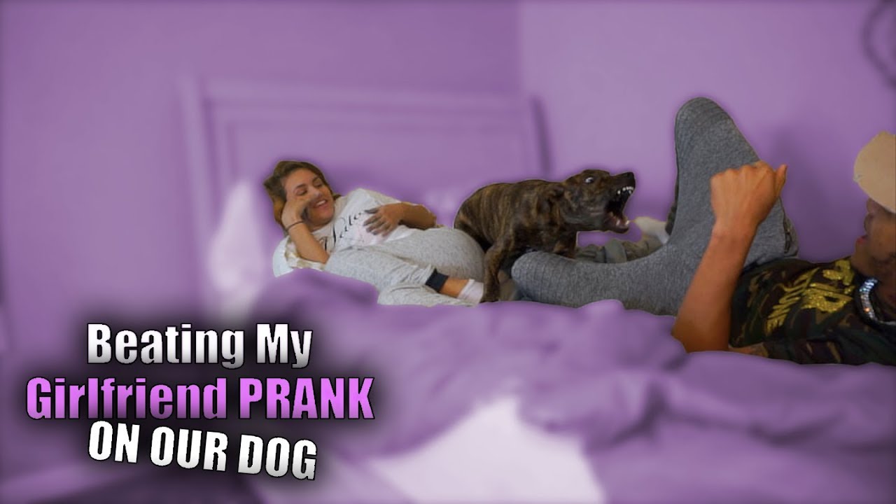 Beating My Girlfriend PRANK On Our Dog (She Loses It!)