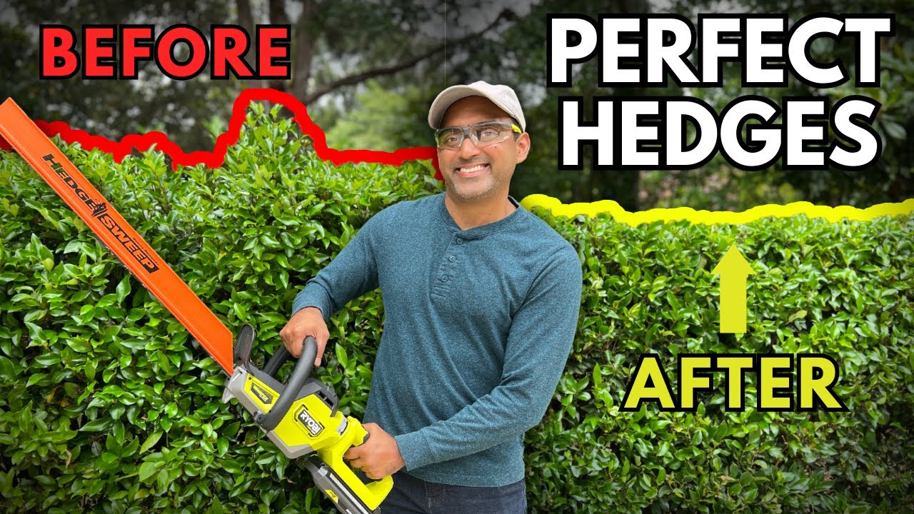 How to Trim Your Overgrown Hedges (Hedge Trimming Tips & Tricks)