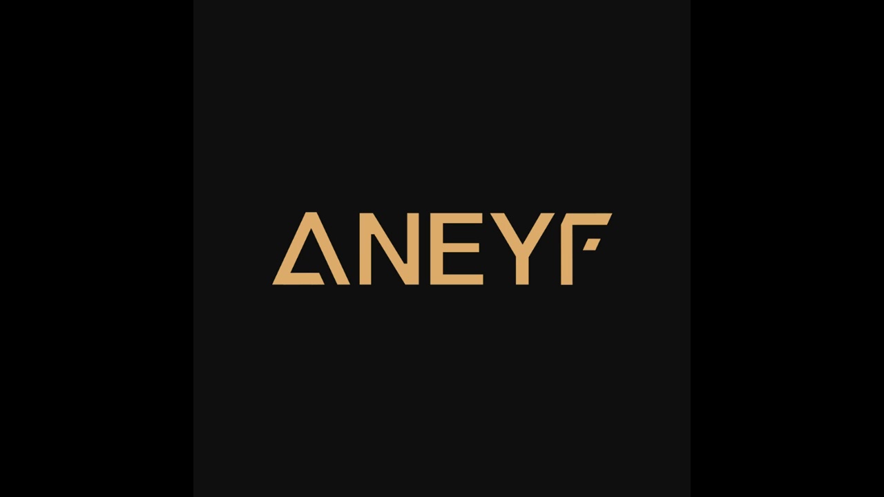Aney F. - Production Mix 2016 - Part 2 (Vinyl Only) - FREE DOWNLOAD