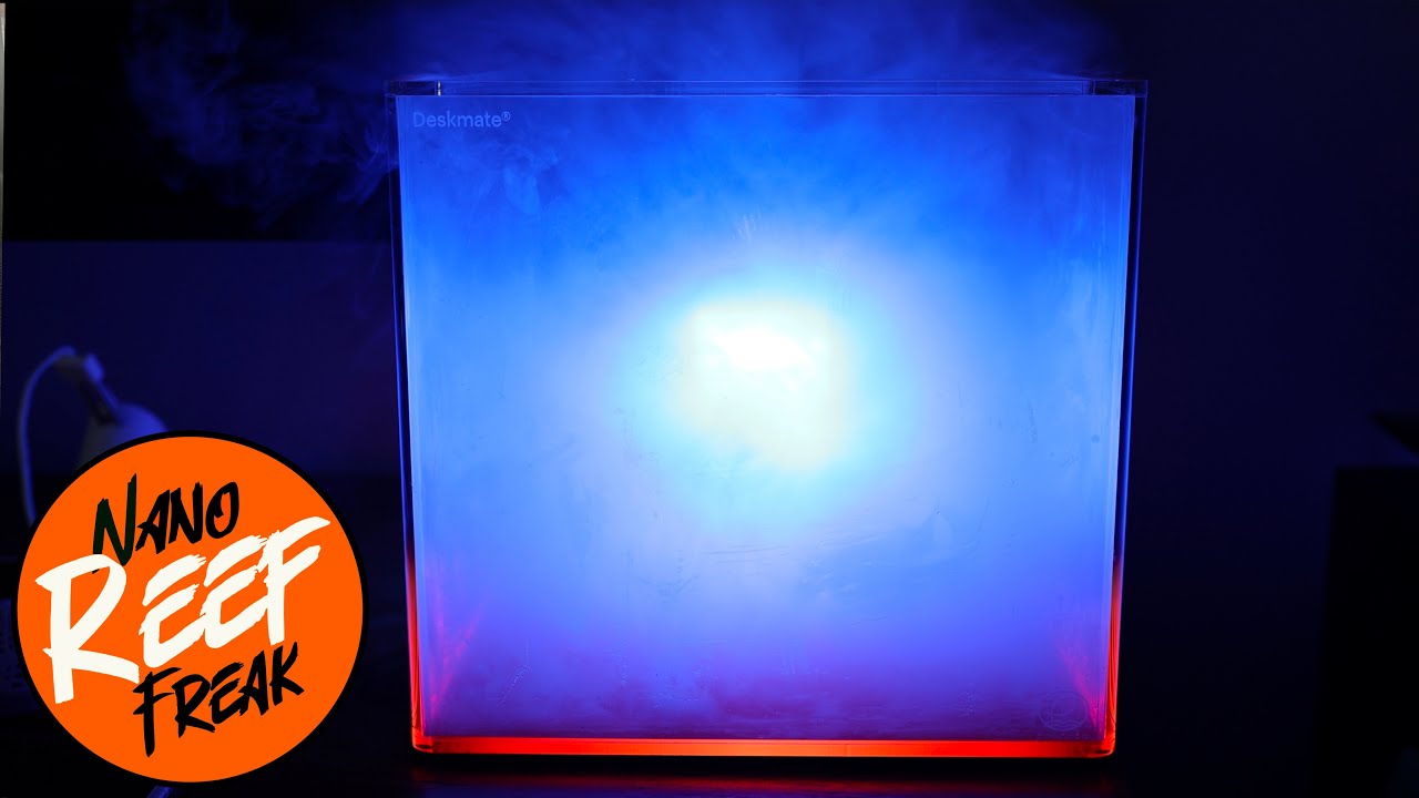 Put A Nano Reef On Your Desk! -  Eshopps Deskmate Florida (Unboxing)