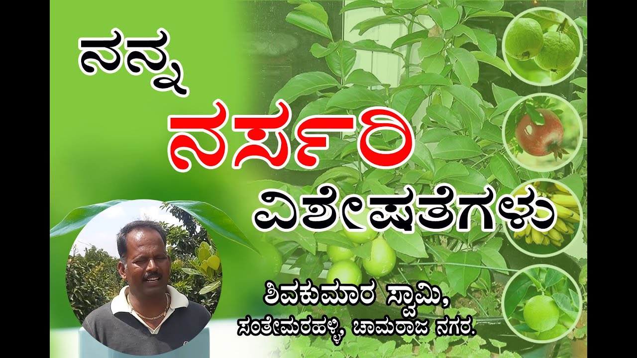 ನನ್ನ ನರ್ಸರಿ ವಿಶೇಷತೆಗಳು ಶಿವಕುಮಾರ ಸ್ವಾಮಿ  Shivakumara swamy Nursery at Santhemarally -Devarajareddy NJ