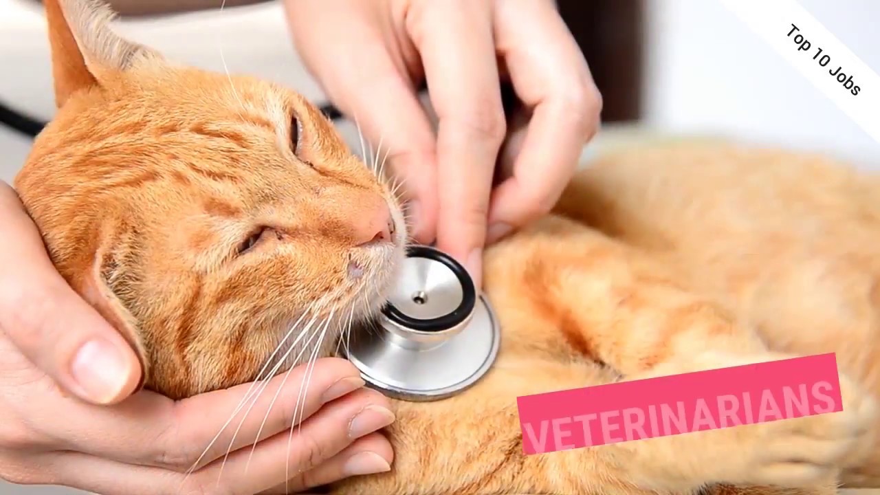 Top 10 Healthcare Jobs in 2018