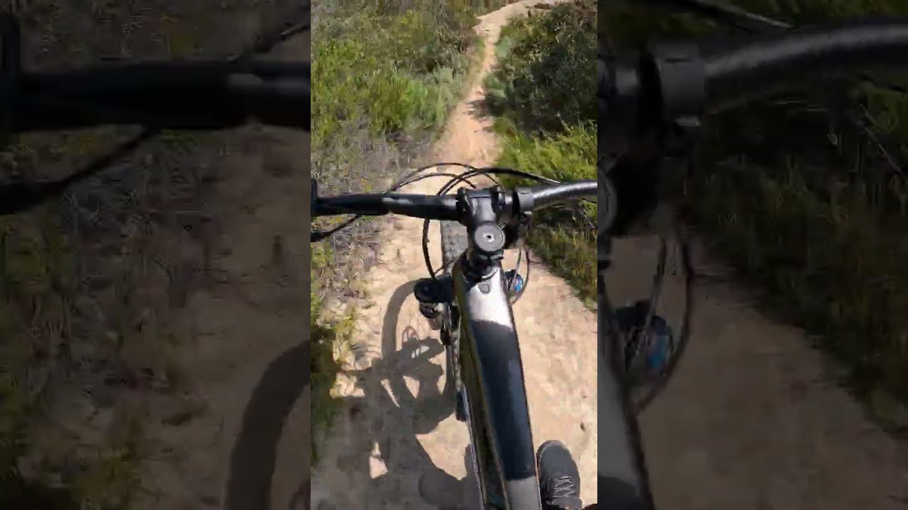 MTB Makes Me Feel Alive! #downhill #mtb #dhmtb
