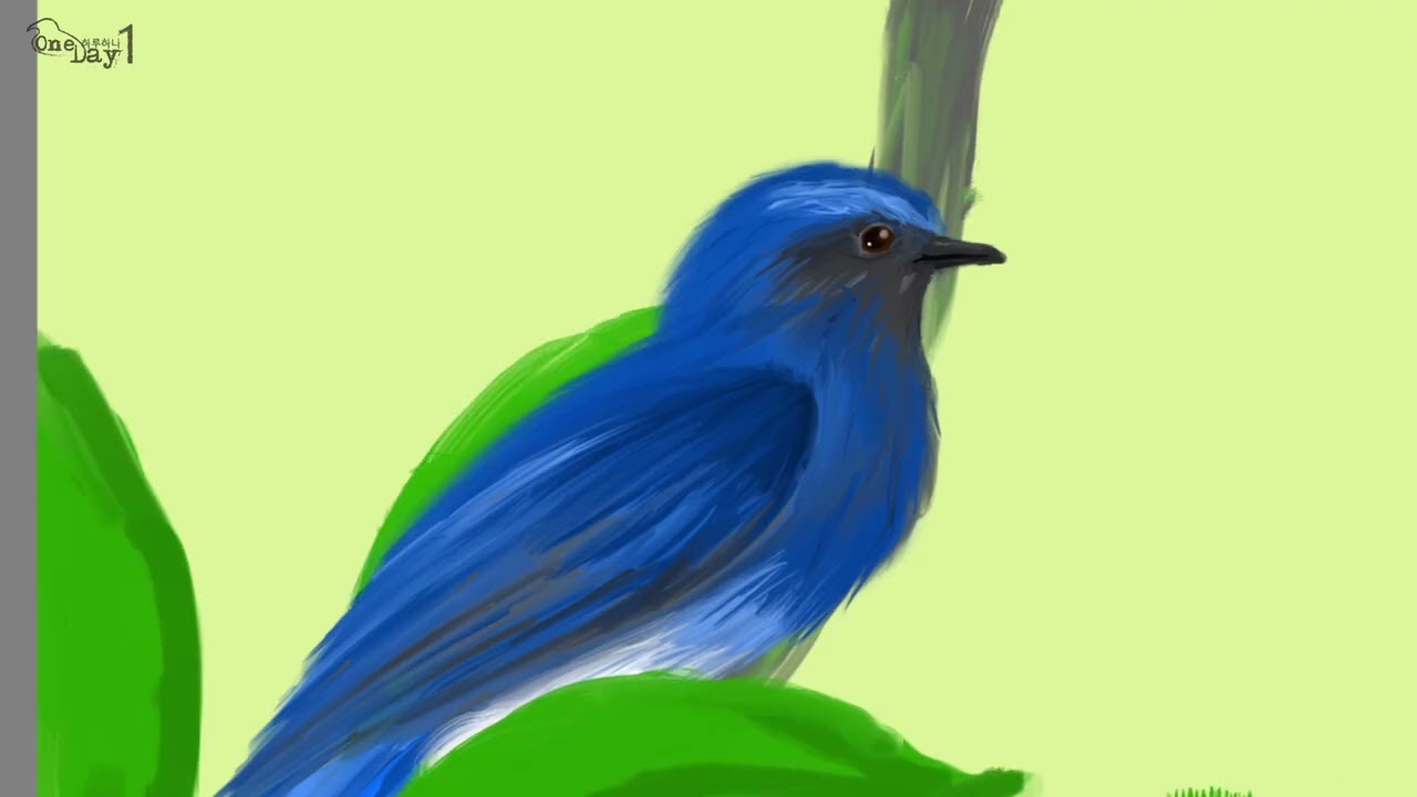 Visayan Blue Fantail 비샤야 푸른부채꼬리딱새 그리기