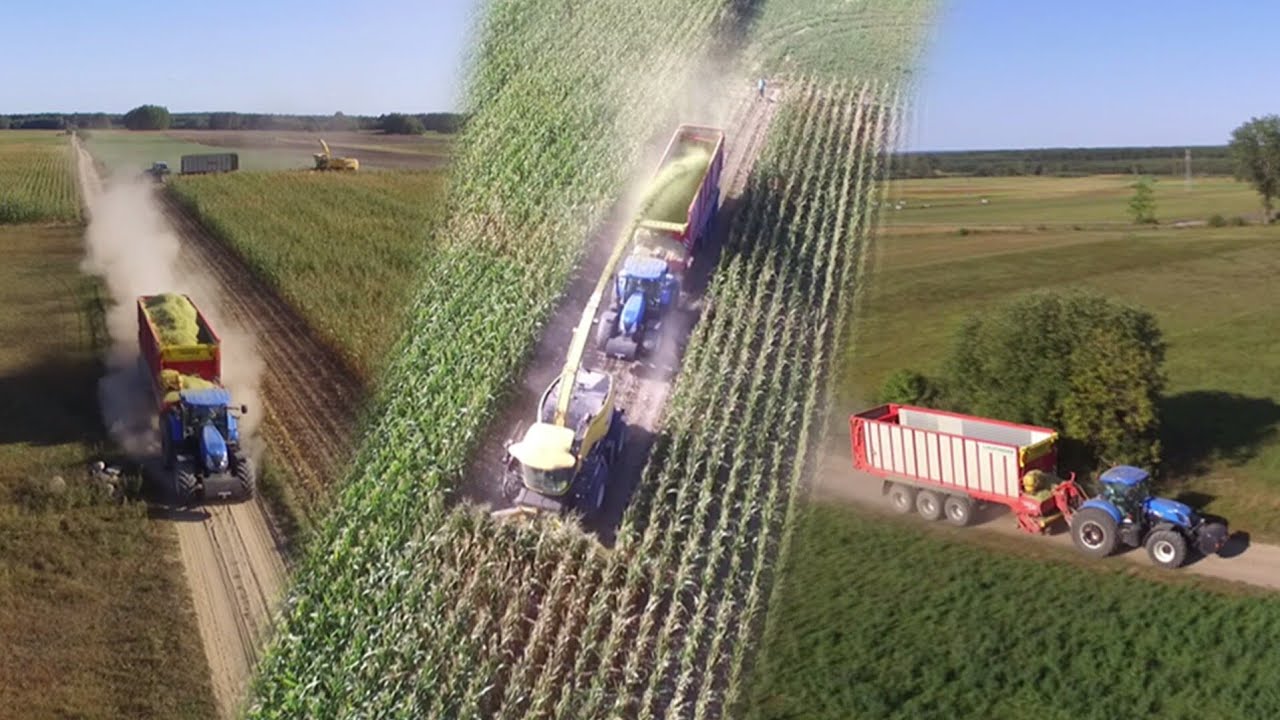 Koszenie Kukurydzy na Kiszonkę 2018  z NewHolland Team|| HD Maize Silage ||
