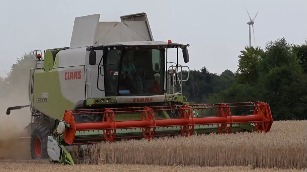 Claas Lexion 660 | Triticale dreschen 2025