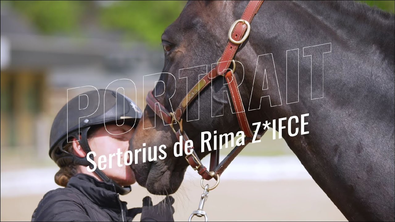 Portrait - Sertorius de Rima Z*IFCE