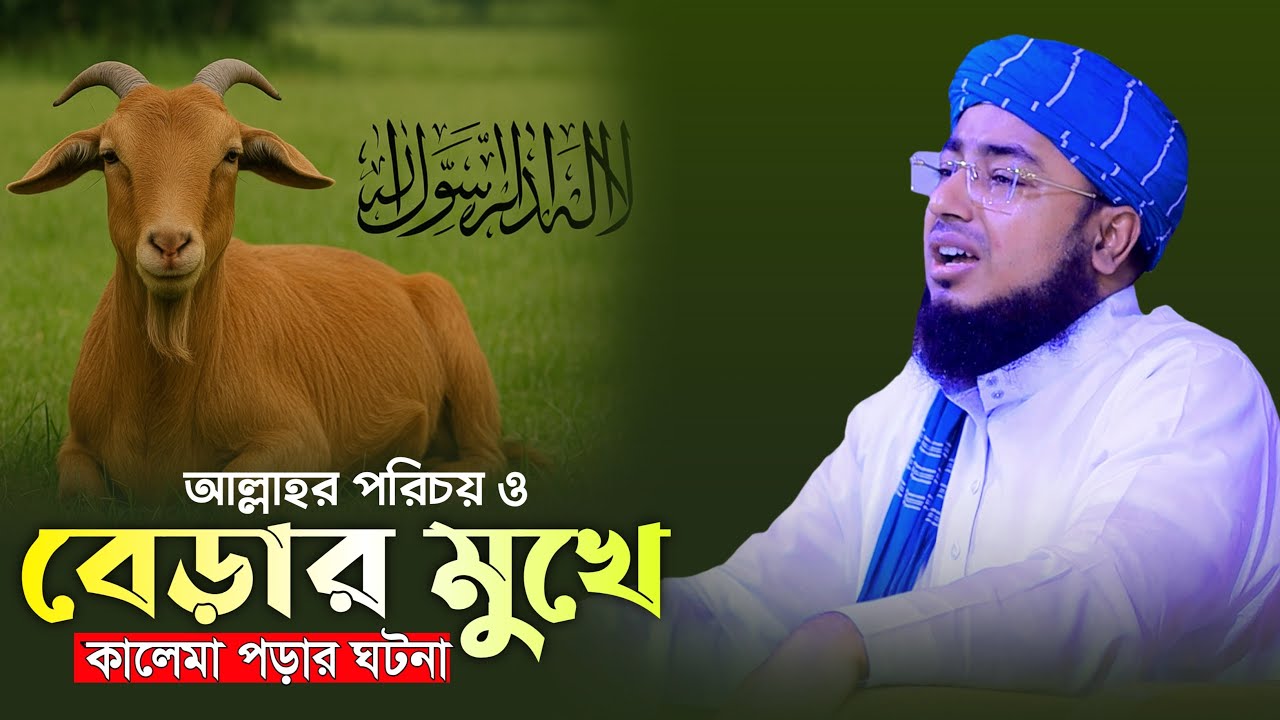 আল্লাহর পরিচয় ও বেড়ার মুখে কালেমা পড়ার ঘটনা | mufti jahirul islam faridi waz |