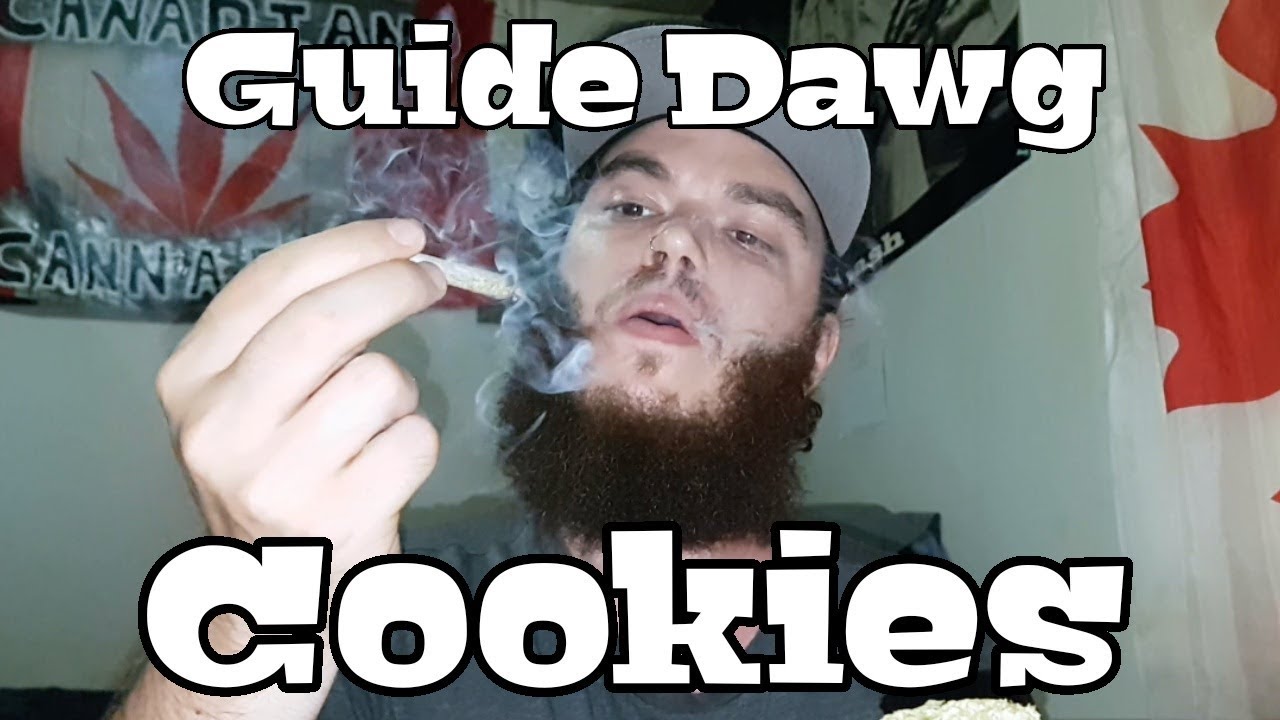 Strain Review - Guide Dawg Cookies