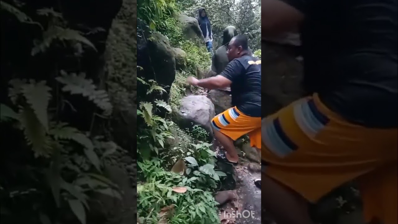Hutan bagian dari hidup kita,marilah kita jaga bersama hutan kita..💪🏻🌳🌴♥️