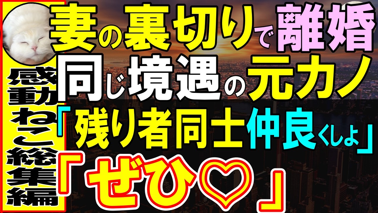 【感動する話】妻に裏切られ、離婚した俺。再会した元カノ「残り者同士仲良くしよ」「俺でよかったら」→この後、意外な事実が明らかになり…【スカッと感動・いい話・泣ける話・朗読】
