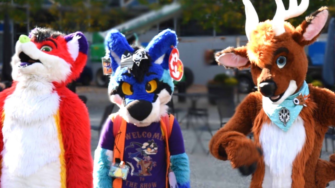 Furry Springtime Fun