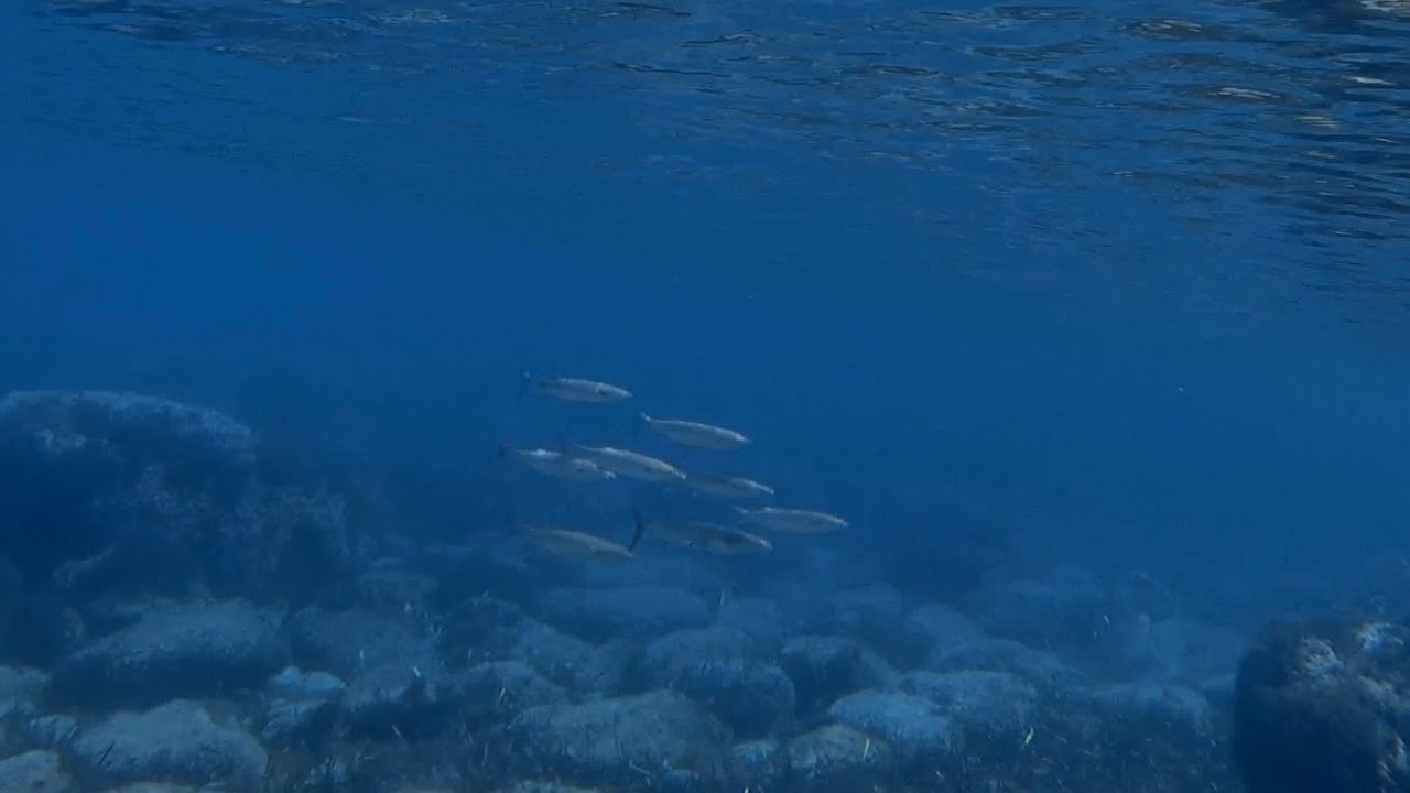 Snorkeling Mallorca May 2025 