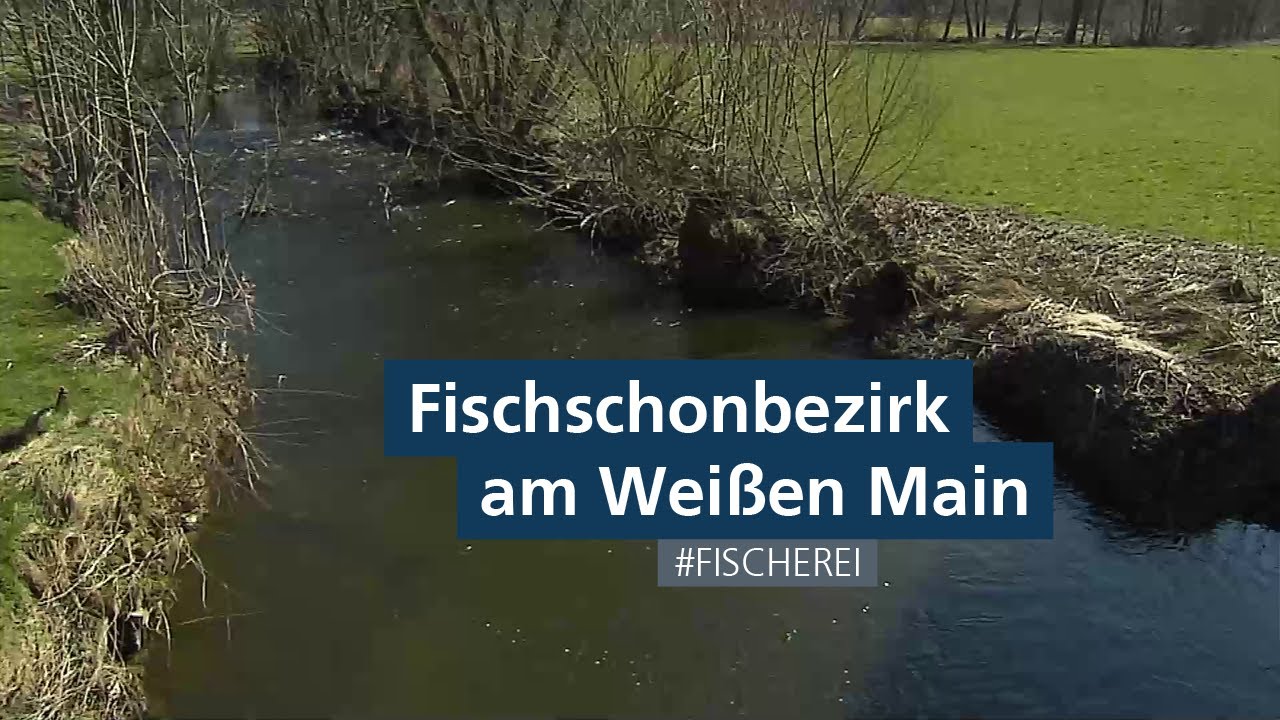 Fischschonbezirk am Weißen Main