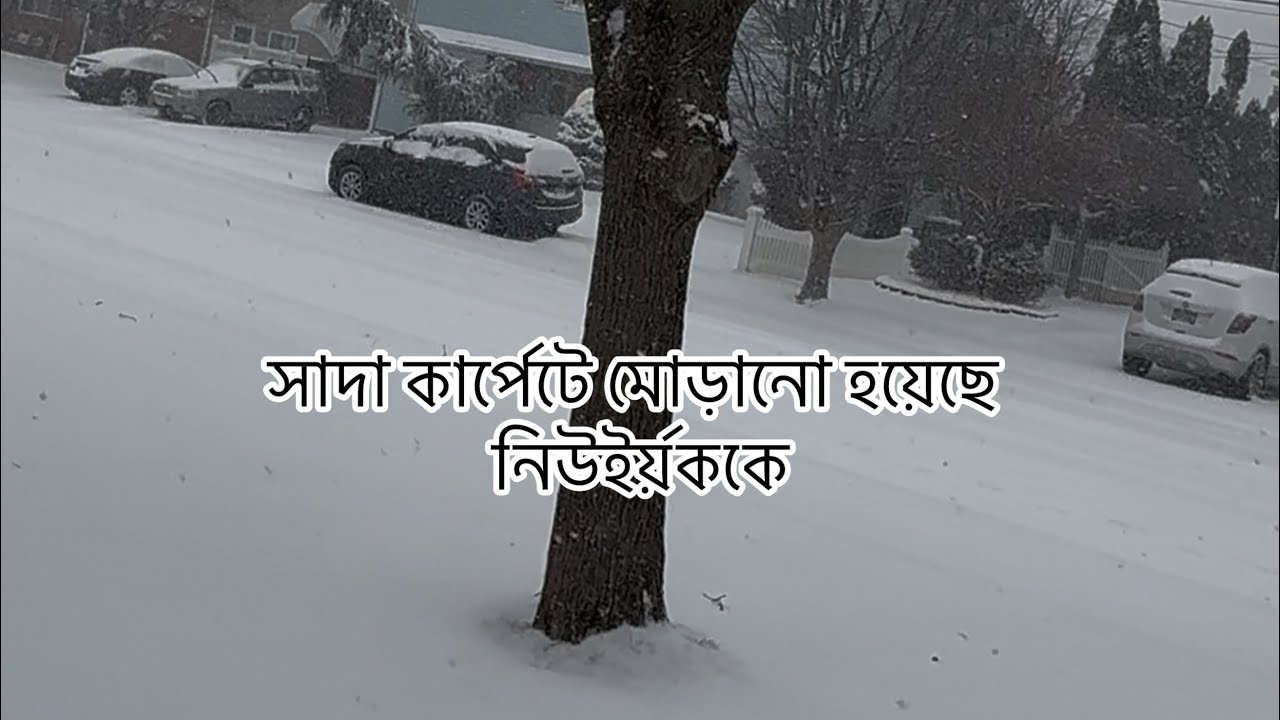 স্নোর চাদরে মোড়া এক অপরূপ দৃশ্য ❄️winter wonderland ❄️
