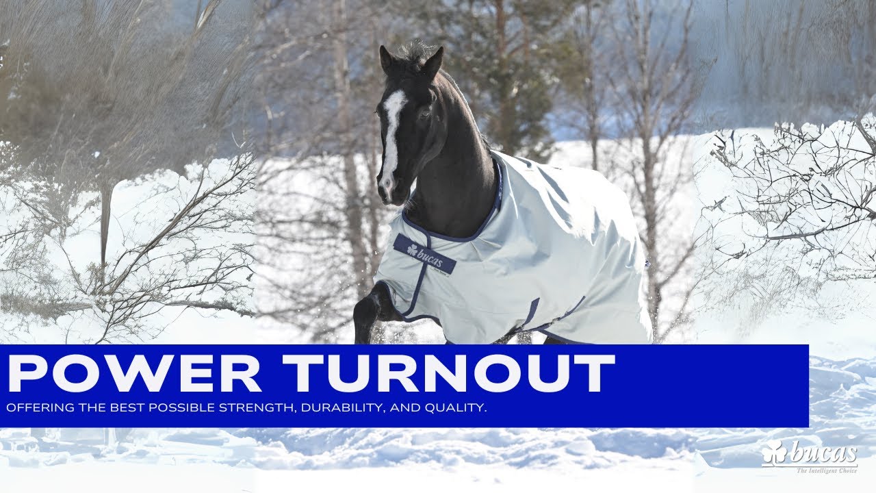 Power Turnout